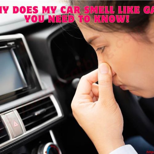 Why Does My Car Smell Like Gas? You Need To Know!